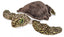 Peluche Ck Tortuga Marina Verde WILD REPUBLIC