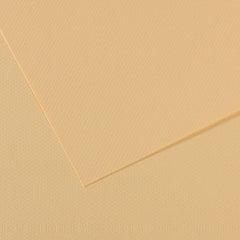 PAPEL MI-TEINTES 50X65 160GRS LICHEN PASTEL | 10 UNIDADES | (GUARRO & CANSON)