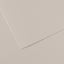 PAPEL MI-TEINTES 50X65 160GR GRIS PERLA | 10 UNIDADES | (GUARRO & CANSON)