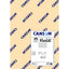 Paq/120 cartulinas iris a4 185g. surtido 12 colores pastel