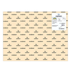 CARTULINA GUARRO 50X65 185GRS IRIS CARNE | 25 UNIDADES | (GUARRO & CANSON)