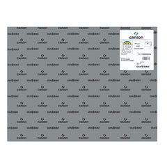 CARTULINA GUARRO 50X65 185GRS IRIS GRIS PLOMO | 25 UNIDADES | (GUARRO & CANSON)