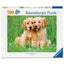 Puzzle Puppies Collection Los Hermanos Golden Retriever 500 Ravensburger