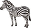 Figura Zebra Comun DEQUBE Juguete de Plástico