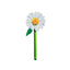 Marcapáginas Flores Margarita Marca The Company Called If House