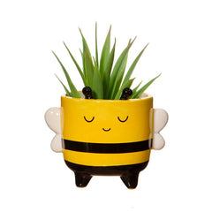 MINI MACETERO CON PATAS FORMA ABEJA | SASS & BELLE | 1 UNIDAD | 5055992797488