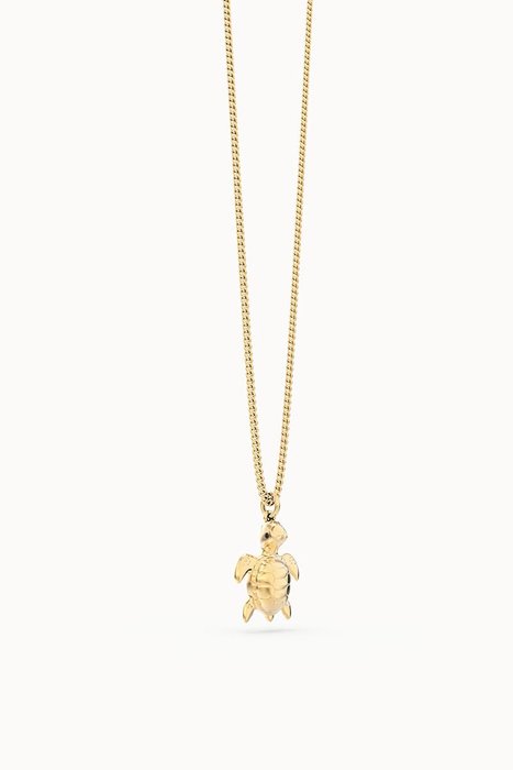 COLLAR CHOCLI TORTUGA 41-48 CM, | CHOCLI | 1 UNIDAD | 5404006053797