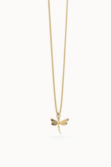COLLAR CHOCLI LIBELULA 41-48 CM, | CHOCLI | 1 UNIDAD | 5404006053803