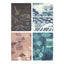 Set 4 Cuadernos de Bolsillo A6 Fosiles Cognitive Ciencia