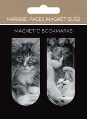 MARCAPAGINAS MAGNETICOS CHATONS GATOS | 1 UNIDADES | (PICTURA)