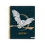 Cuaderno A4 Anillas Universitario Cuadros Harry Potter Surtido Marca Mooving Paper