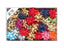 Caja 100 Cocas Estrella Rafia 90 mm Colores Surtidos Brizzolari