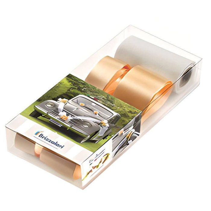KIT DECORACION PARA COCHE SALMON 5501 | BRIZZOLARI | 1 UNIDAD | 8031653347497