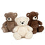 Peluche Oso Clásico 27 cm Famosa Softies