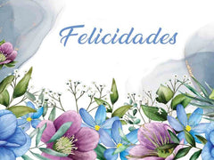 TARJETA MINI CARD FELICIDADES | ARGUVAL, S,L, | ENVASE 25 UDS. UNIDAD | 8421363467033