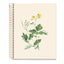 Cuaderno A5 80 H Cuadricula 90 Entredos Chelindonium MIQUELRIUS Diseño