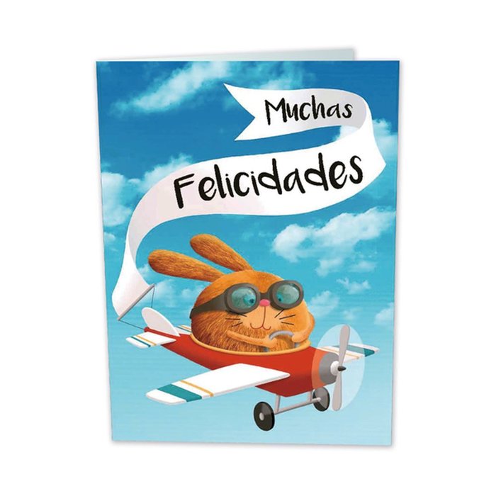 TARJETA GIGANTE AVION CON TEXTO INTERIOR BUSQUETS 6U | ARGUVAL, S,L | ENVASE 6 UDS. UNIDAD | 8422831414955