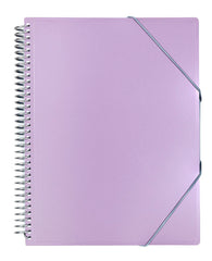 CARPETA 20 FUNDAS ARCHIVEX METALIZADA SOBRE MALVA | 1 UNIDADES | (CARCHIDEA, S,L,)