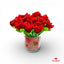 Bote PVC 24 Bolígrafos Red Rosa de Tela ROYMART