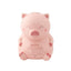 HUCHA CERDITO PARA TODO LO BONITO QUE NOS ESPERA | MR WONDERFUL | 1 UNIDAD | 8435460771849