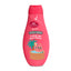 GEL DE DUCHA SANDIA 600ML THE FRUIT COMPANY 10U | THE FRUIT COMPANY | ENVASE 10 UDS. UNIDAD | 28436559717834