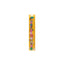 Regla de 30 cm Transparente Wonder Comic MR Wonderful