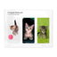 SET 3 MARCAPAGINAS MAGNETICOS FOTOS DE GATOS | 1 UNIDADES | (WEBSHOP ARTE)