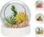 MINI JARDIN SURTIDOS | KOOPMAN | 1 UNIDAD | 8720573547055
