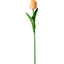 Ramo 10 Tulipanes Iguales Colores Surtidos Koopman