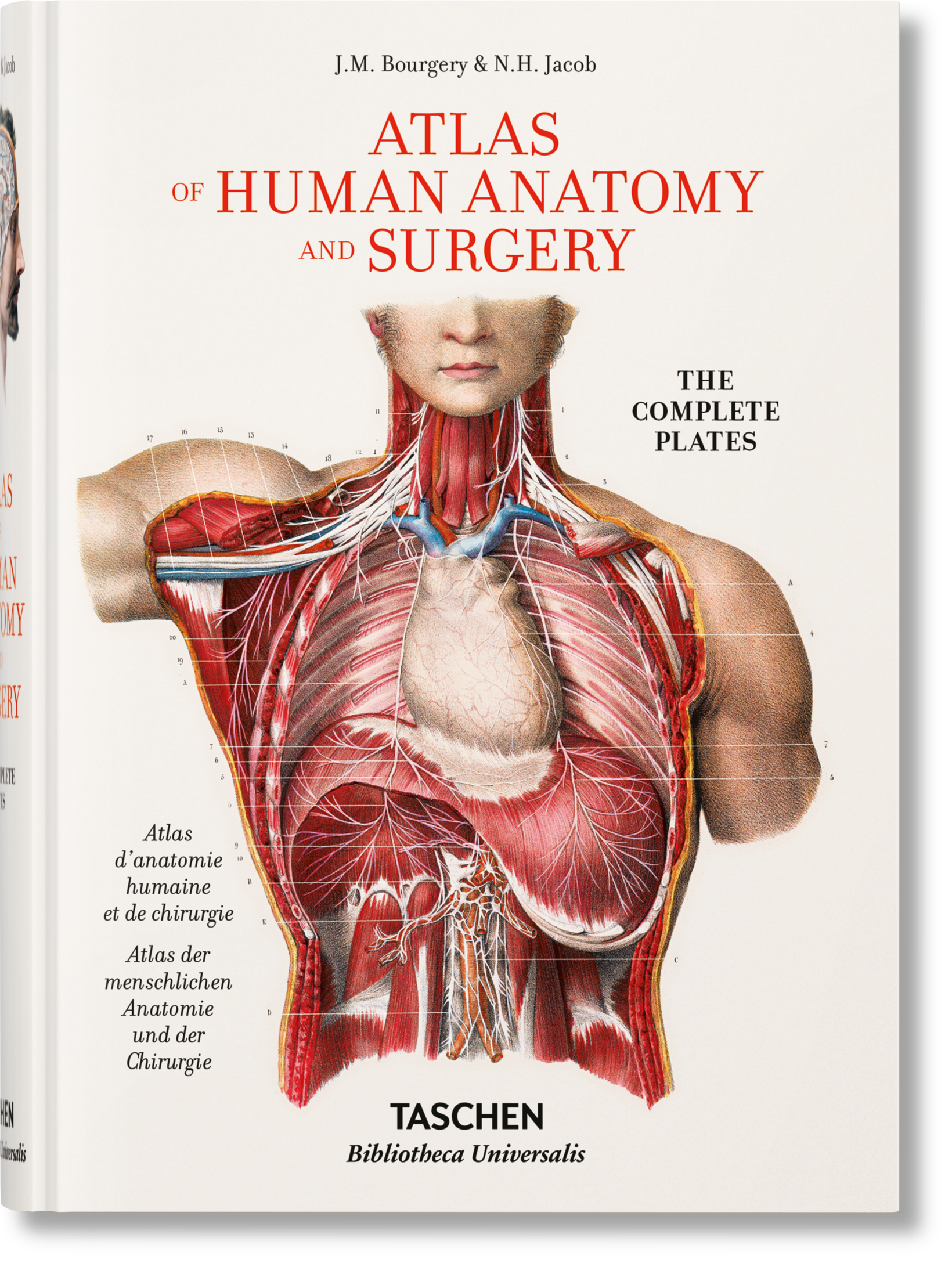 Bourgery: Atlas of Human Anatomy and Surgery