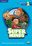 Super Minds 1 Flashcards