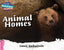 Animal Homes Pink A Band