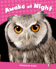 LEVEL 2: AWAKE AT NIGHT CLIL