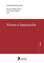NORMA E IMPUTACION - 9788410174634