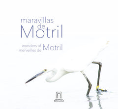 MARAVILLAS DE MOTRIL - 9788412263534