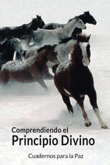 COMPRENDIENDO EL PRINCIPIO DIVINO I Moon, Sun Myung I Editorial cuadernos para la Paz I 9788412445794