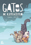 GATOS DE CEMENTERIO | Diez,nerea/juanarete | 9788412637854 (Gp ediciones)