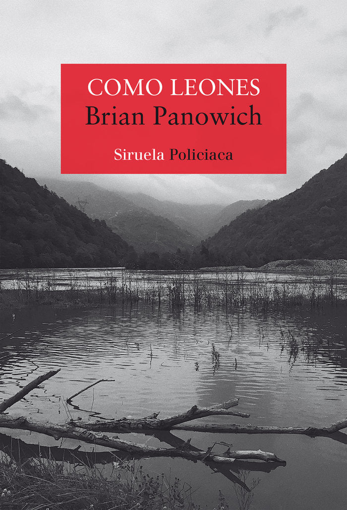 COMO LEONES - 9788418245572