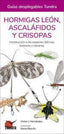HORMIGAS LEON ASCALAFIDOS Y CRISPOSAS - 9788418458507