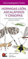 HORMIGAS LEON ASCALAFIDOS Y CRISPOSAS - 9788418458507