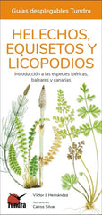 HELECHOS EQUISETOS Y LICOPODIOS - 9788418458552
