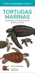 TORTUGAS MARINAS - 9788419624062