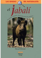 JABALI - 9788428213929