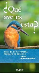 QUE AVE ES ESTA - 9788428217071