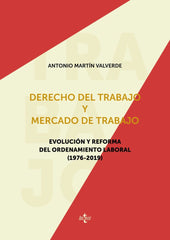 DERECHO DEL TRABAJO Y MERCADO DE TRABAJO - 9788430981144