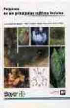 PULGONES DE LOS PRINCIPALES CULTIVOS FRUTALES - 9788471147820