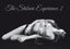 SHIBARI EXPERIENCE 2 | AA,VV | BELLATERRA | 9788472909137