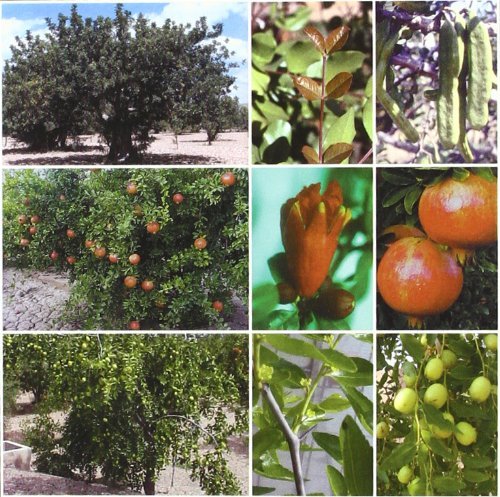 TRATADO DE FRUTICULTURA PARA ZONA ARIDAS Y SEMIARI - 9788484761112