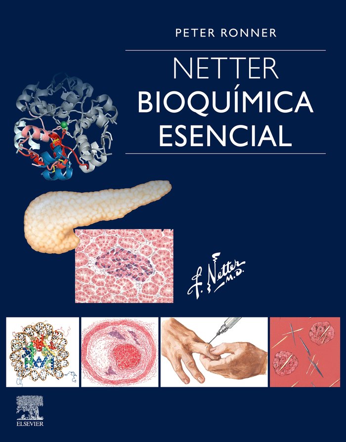NETTER BIOQUIMICA ESENCIAL - 9788491135159