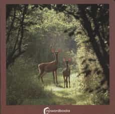 LOS ANIMALES DEL BOSQUE I Nowordbooks I Nowordbooks I 9788494174599
